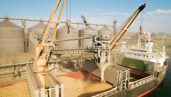 xr:d:dafqtccrqhe:2,j:39658843615,t:22110113